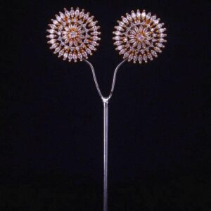 Elegant Stud Earrings (Silver & 2 Tone) 022
