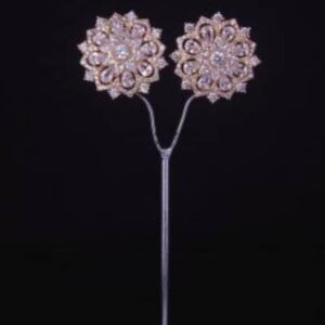 Radiant  Stud Earrings 046