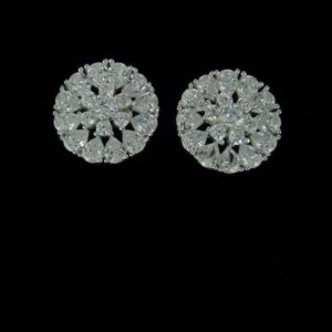 Radiant  Stud Earrings 072