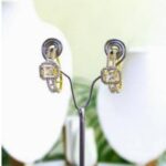 Drop Earrings