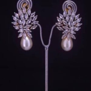 Dazzling Drop Earrings 011