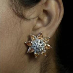 Radiant 2Tone Stud Earrings 058